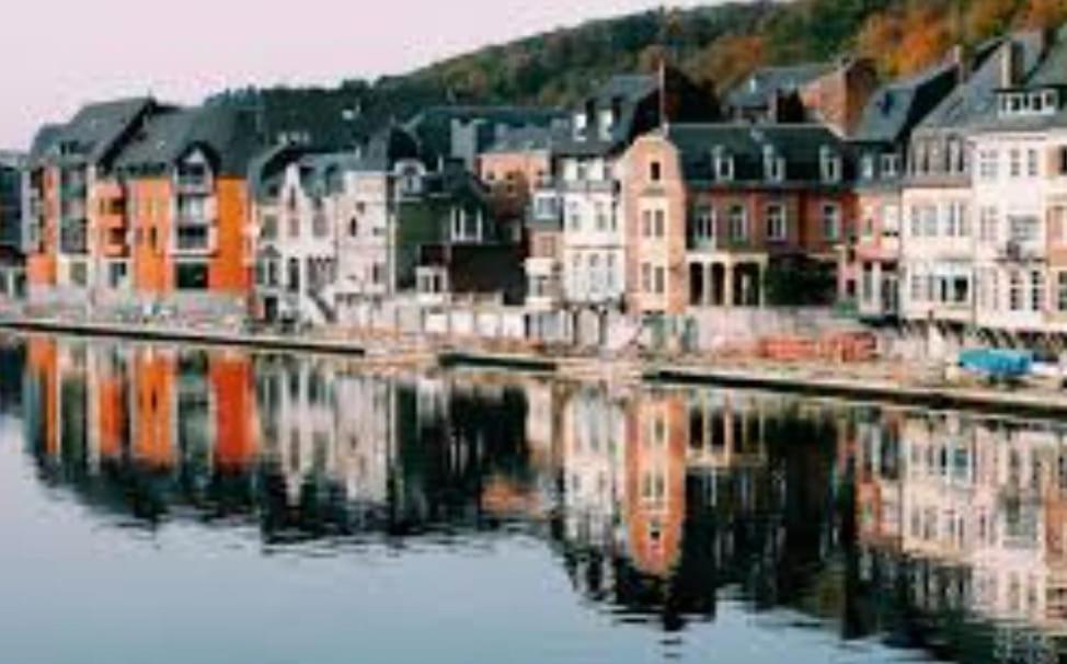 Maison Fontaine Du Saxophone Dinant Exteriör bild
